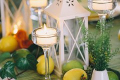 carmens-lakeview-wedding-shelly-spithoff-photography-7